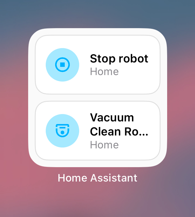 Scripts Widget